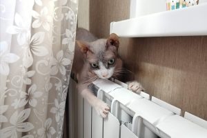 Замена батарей и газовых плит: правовые аспекты и последствия